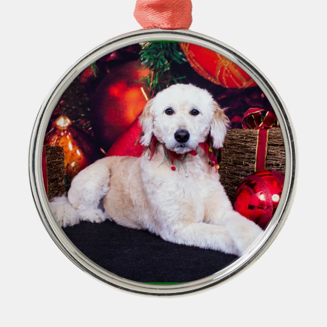 Adorno Metálico Navidad - Maggie - GoldenDoodle (Frente)