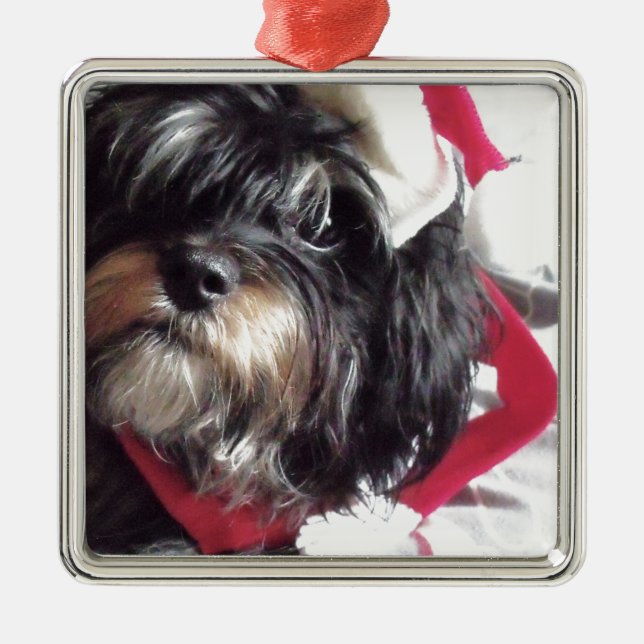 Adorno Metálico Navidad Shih Poo (Frente)