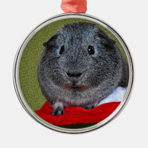 Adorno Metálico Navidades de cerdo de Guinea