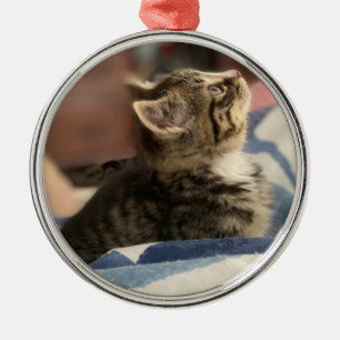Adorno Metálico Navidades de fotografía personalizados de Kitten