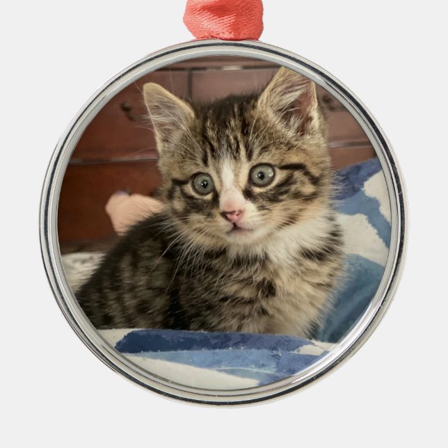 Adorno Metálico Navidades de fotografía personalizados de Kitten (Frente)