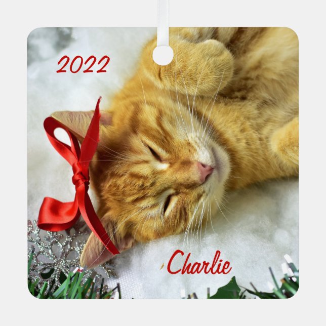 Adorno Metálico Navidades de gatos de Tabby Naranja personalizado (Anverso)