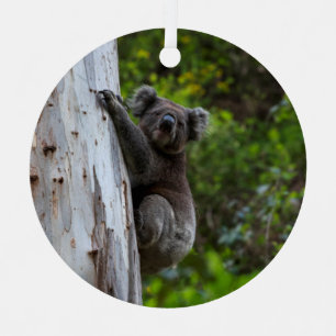 Adorno Metálico Navidades de Koala ClimbTree Australia