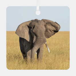 Adorno Metálico Navidades fotográficos de nombres personalizados p