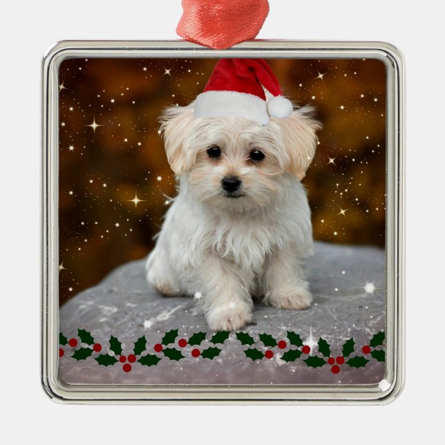 Adorno Metálico Navidades malteses de Cachorros (Frente)