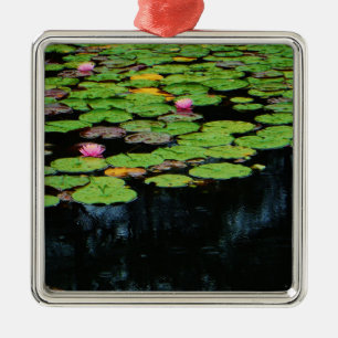 Adorno Metálico negro loto rosa