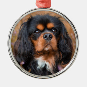 Adorno Metálico Negro y Tan Cavalier Rey Charles Spaniel Dog