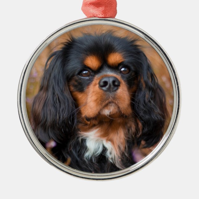 Adorno Metálico Negro y Tan Cavalier Rey Charles Spaniel Dog (Frente)