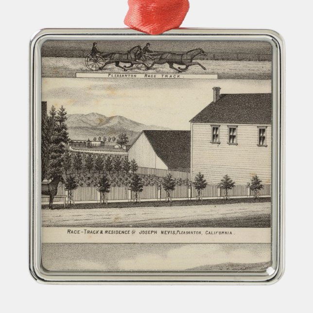 Adorno Metálico Nevis, residencias verdes, granjas (Frente)