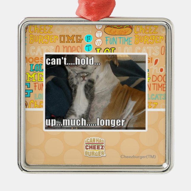 Adorno Metálico No puede soportar mucho más de largo (Frente)