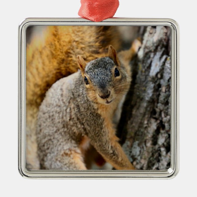 Adorno Metálico ¿No vienes? (Frente)