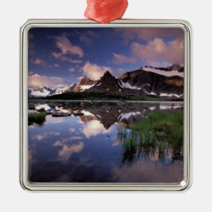 Adorno Metálico Norteamérica, Canadá, Alberta, Jasper 4