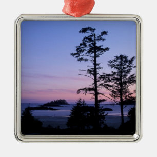 Adorno Metálico Norteamérica, Canadá, Isla de Vancouver, árboles