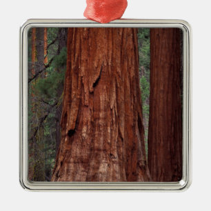 Adorno Metálico Norteamérica, EE. UU., California, Yosemite NP, 2