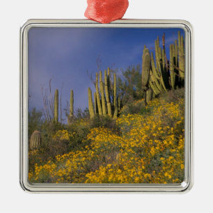 Adorno Metálico Norteamérica, Estados Unidos, Arizona, Cactus de 