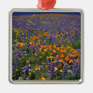 Adorno Metálico Norteamérica, Estados Unidos, California, Los Ánge