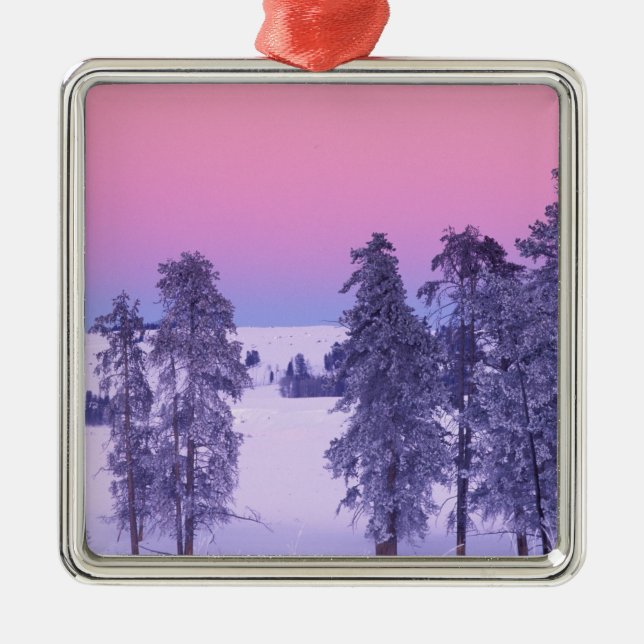 Adorno Metálico Norteamérica, Estados Unidos, Montana, Yellowstone (Frente)