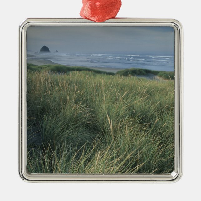 Adorno Metálico Norteamérica, Estados Unidos, Oregón, Canon Beach, (Frente)