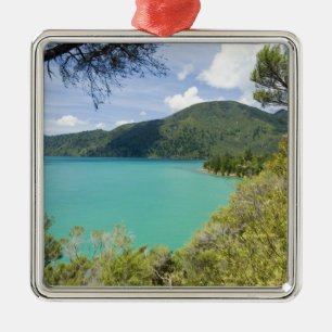 Adorno Metálico Nueva Zelanda, Isla Sur, Marlborough Sounds.