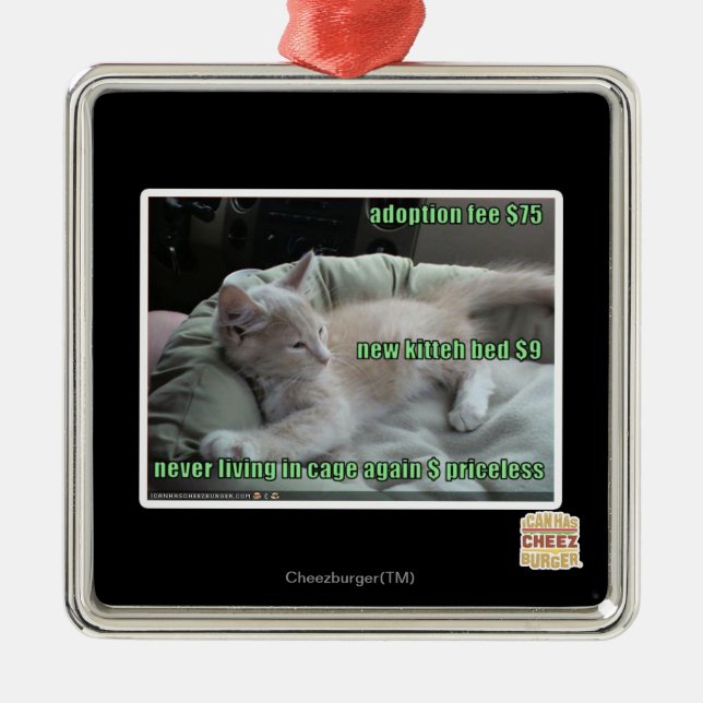 Adorno Metálico Nunca viviendo en una jaula otra vez (Frente)