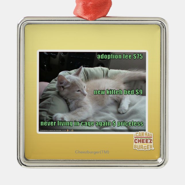 Adorno Metálico Nunca viviendo en una jaula otra vez (Frente)