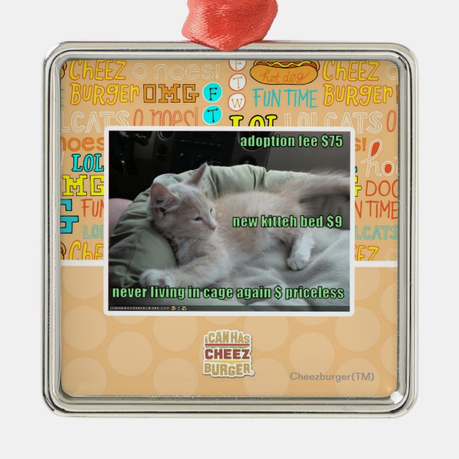 Adorno Metálico Nunca viviendo en una jaula otra vez (Frente)