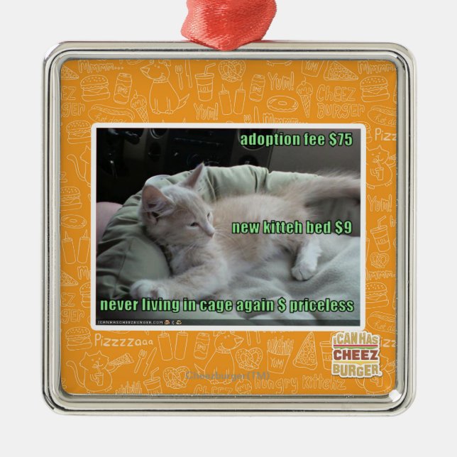 Adorno Metálico Nunca viviendo en una jaula otra vez (Frente)