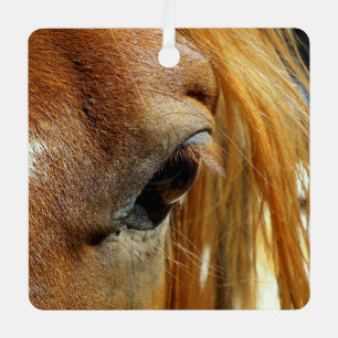 Adorno Metálico Ojo de caballo primer plano