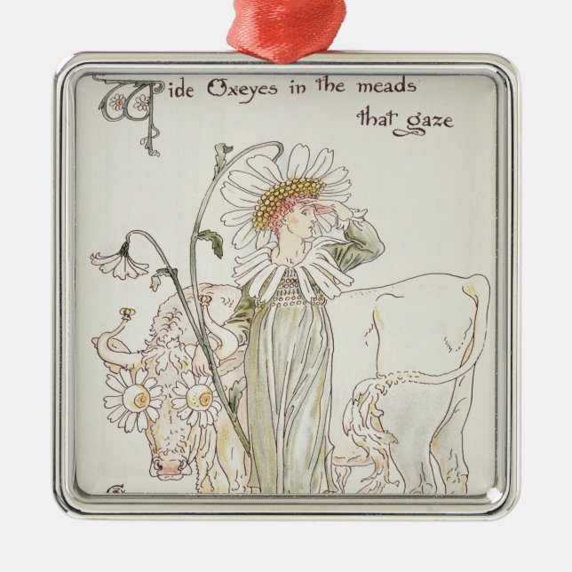 Adorno Metálico Ojos de buey salvajes en las aguamieles que Gaze (Frente)