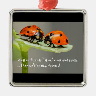Adorno Metálico Old and Senile Ladybug New Friends Funny Bestie