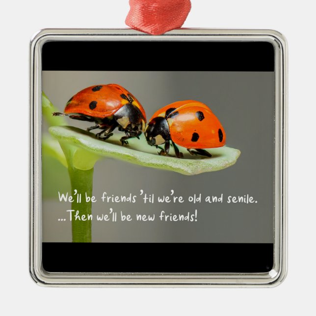 Adorno Metálico Old and Senile Ladybug New Friends Funny Bestie (Frente)