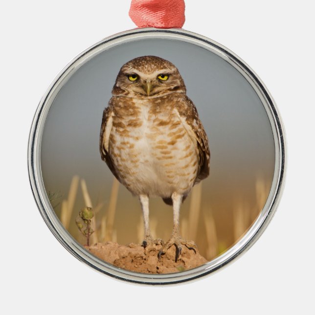 Adorno Metálico Oleuña en llamas sobre un túmulo (Frente)