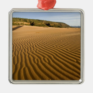 Adorno Metálico Ondulaciones de arena y dunas en Coral Pink Sand 2