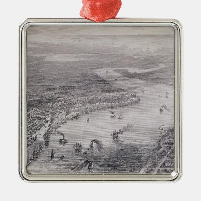 Adorno Metálico Opinión del Pájaro-Ojo de New Orleans (Frente)