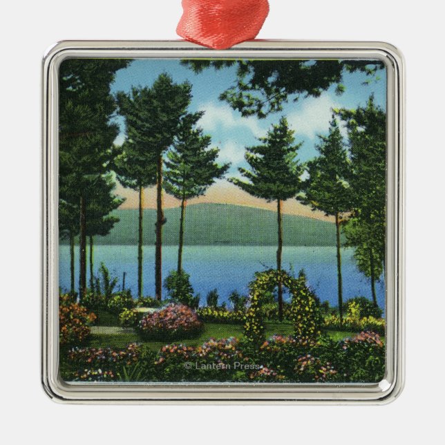 Adorno Metálico Opinión del parque del cisne de Brown del lago (Frente)