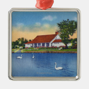 Adorno Metálico Opinión los cisnes del parque de Hoopes en el lag