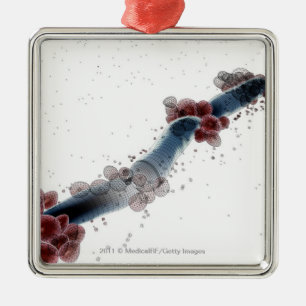 Adorno Metálico Opinión microscópica de Wireframe de los albican