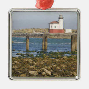 Adorno Metálico OR, Costa de Oregón, Bandon, Río Coquille 2