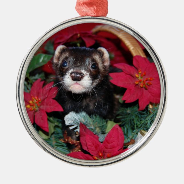 Adorno Metálico Oranmento de los Navidades Ferret (Frente)