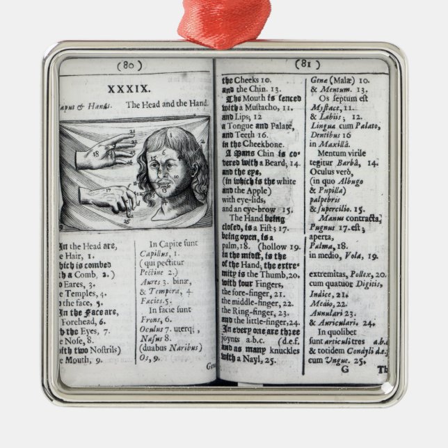 Adorno Metálico 'Orbis Sensualium Pictus (Frente)