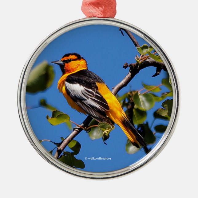 Adorno Metálico Oriole, el árbol perso de Bella Bombilla (Frente)