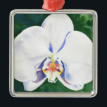 Adorno Metálico Orquídea Blanca<br><div class="desc">pintura original de color de orquídea blanca de H cooper</div>