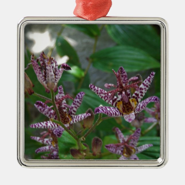 Adorno Metálico Orquídea de rayas blancas púrpura como lilo floral (Frente)