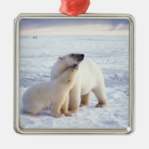 Adorno Metálico Osa de oso polar con cría, manada