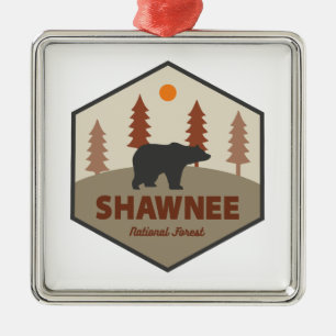 Adorno Metálico Oso del Bosque Nacional Shawnee