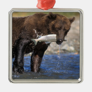 Adorno Metálico Oso pardo, oso grizzly, con captura de salmón,