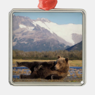 Adorno Metálico Oso pardo, oso grizzly estirándose de espaldas