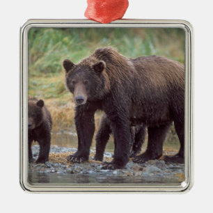Adorno Metálico oso pardo, Ursus arctos, oso grizzly, Ursus 3