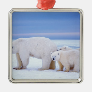 Adorno Metálico Oso polar cerda con cachorros