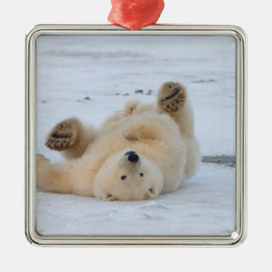 Adorno Metálico oso polar, Ursus maritimus, cachorro rodando 3
